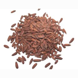 Pinjenötter från afghanistan