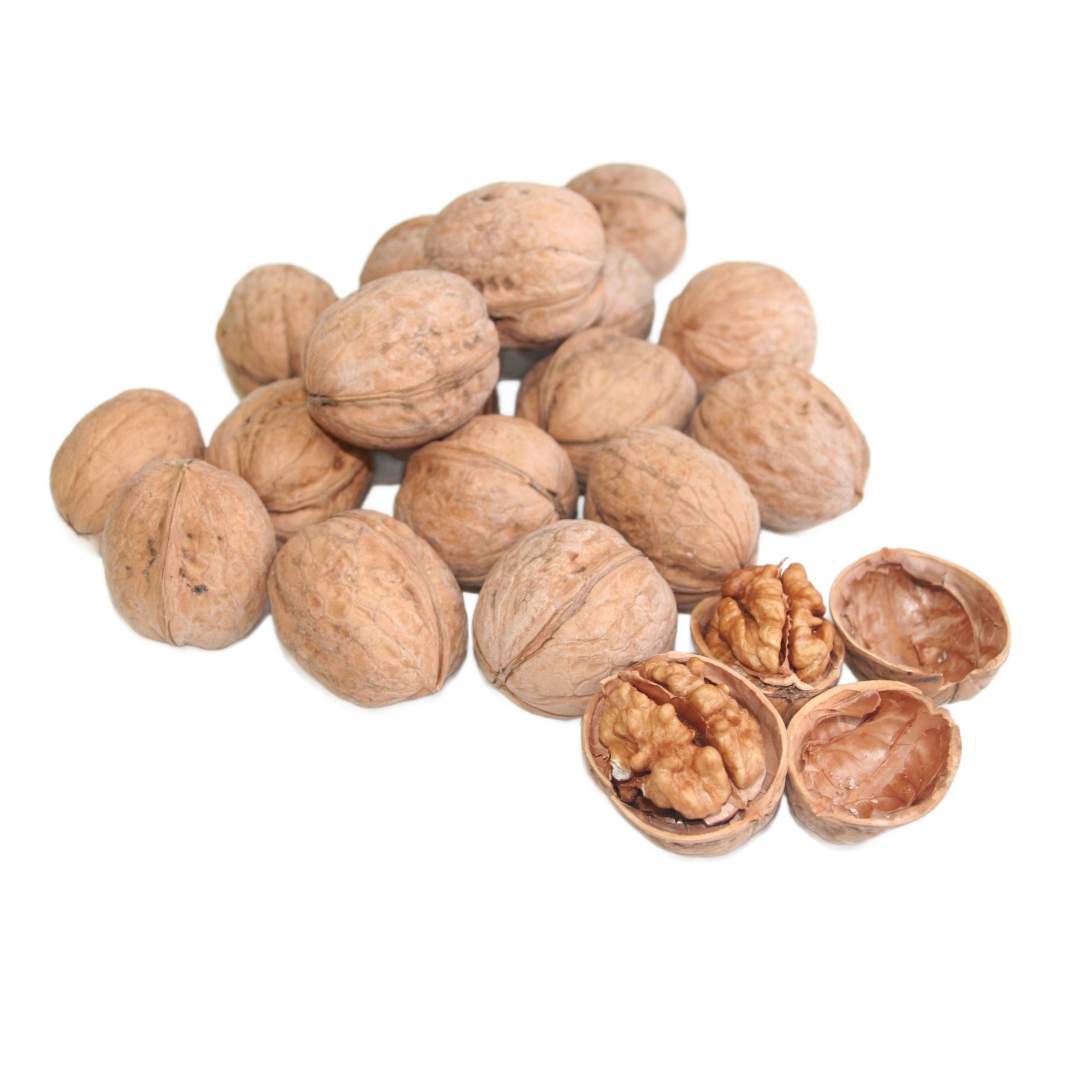Valnötter med skal 500 g 2 Köp valnötter med skal online och njut av naturlig kvalitet, krispig konsistens och rik smak – direkt från naturen till ditt kök.