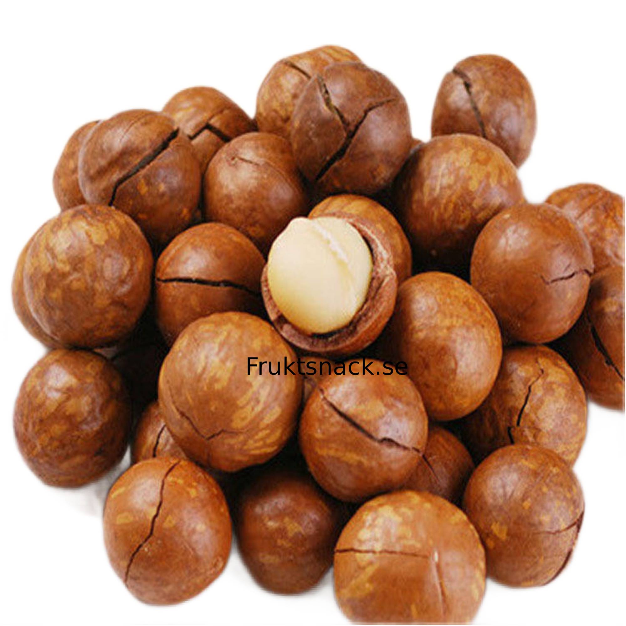 Macadamianötter med skal 250 g, 500 g 3 Macadamia Nuts Large
