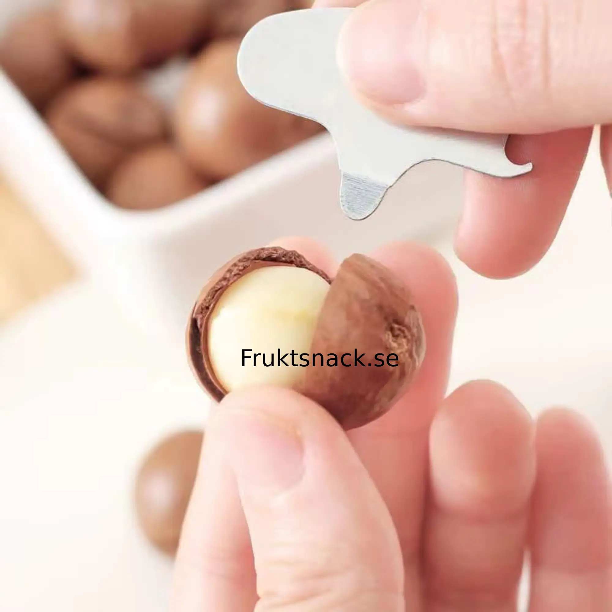 Macadamianötter med skal 250 g, 500 g 4 Macadamia Nuts Large